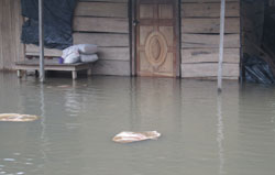 floods011